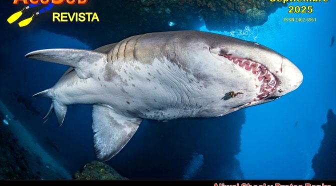 ACUSUB REVISTA nº 263