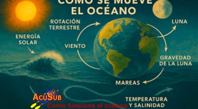 Como funciona el océano.